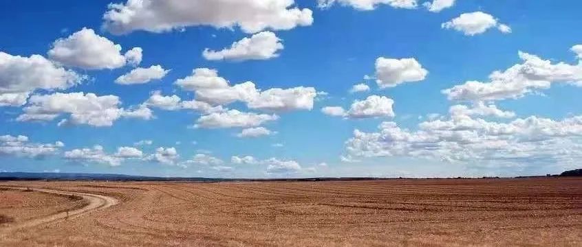 新药研发策略与项目评估的科学考量