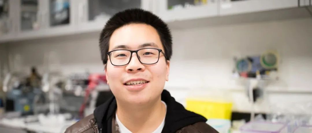 24岁MIT中国访问生联合研发“剪纸支架”穿刺给药，已在猪体内完成测试，或可在人类管状器官中快速部署｜专访
