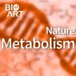 Nat Metab | 赵世民/徐薇/赵健元合作揭示SIRT4调控细胞氨脱毒机制