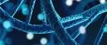 Genechem宣布开展双特异性抗体全球合作