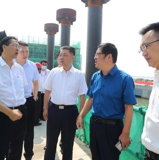 市发改委党组成员、市信息中心主任马红兵实地调研盛虹炼化项目