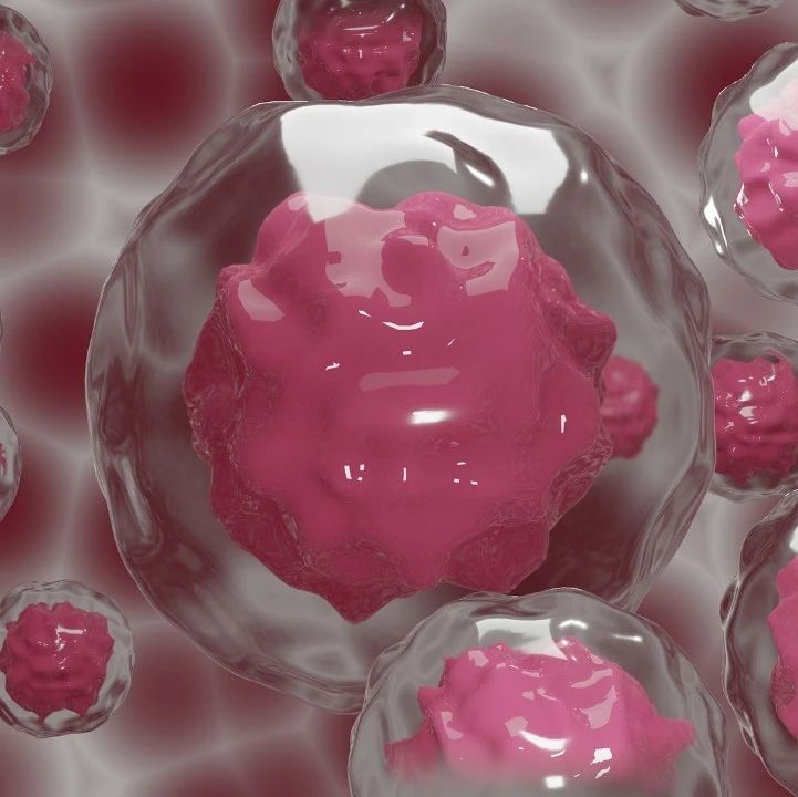 eLife：研究发现破坏MYC与HCF-1的互作可消融肿瘤
