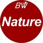 Nature：新型单细胞测序技术，揭示乳腺肿瘤生长过程中持续积累遗传突变
