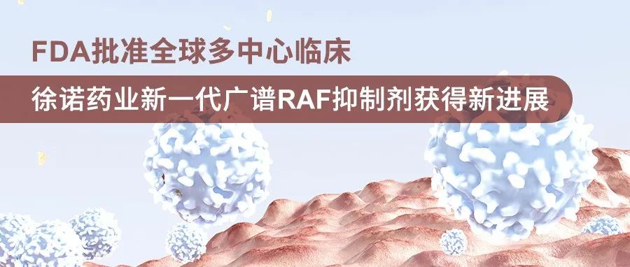研发 | FDA批准全球多中心临床 徐诺药业新一代广谱RAF抑制剂获得新进展