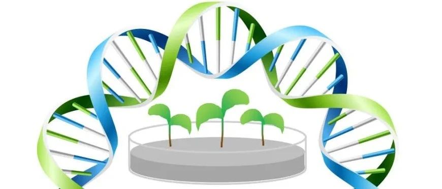 政策博览  | 重庆市卫生健康委员会等4部门印发优化全市三级医院建设指导意见