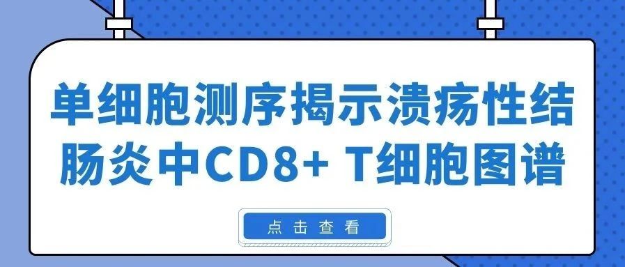 单细胞测序揭示溃疡性结肠炎中CD8+ T细胞图谱
