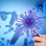 Science：首次在猫狗身上发现新冠变异毒株B.1.1.7