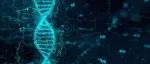 DNA修复的新研究促进了CRISPR-Cas9基因编辑技术，以及基因编辑大牛刘如谦团队开发的先导编辑技术的发展