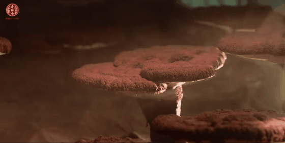 微信图片_20210607111607.gif