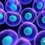 细胞治疗产品新药研发项目管理执行策略解析