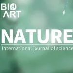 Nature | 李浩等揭示大脑通过外界环境中的刺激来辨别正面或者负面的情绪效价