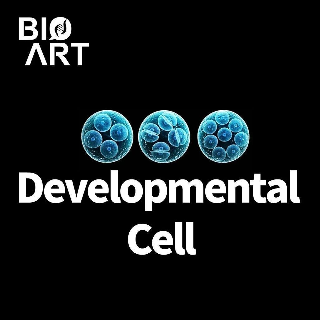 Dev Cell | 李栋课题组揭示MALAT1-m⁶A修饰的生物学功能