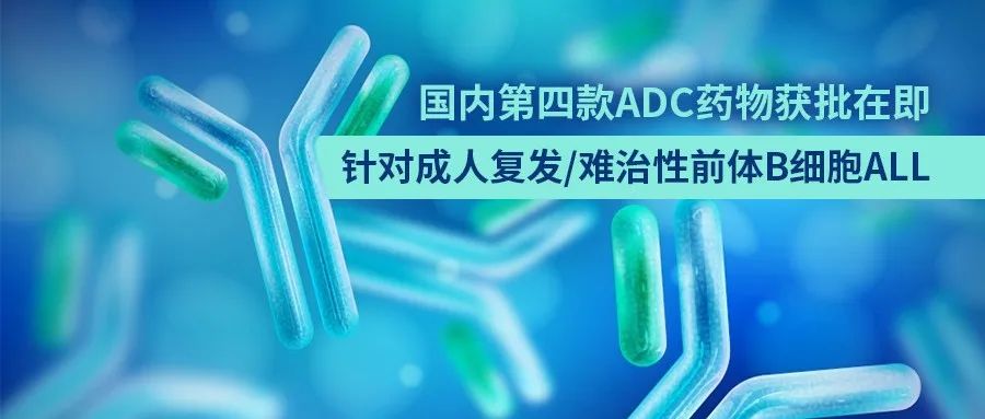 国内第四款ADC药物获批在即，针对成人复发/难治性前体B细胞ALL