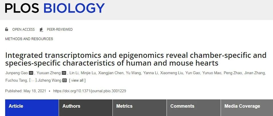 Plos Biology | 王继征\文路\宋雷团队发表人类心脏多组学图谱，揭示心脏多组学腔室特异性及物种特异性