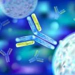 新锐！爱思迈生物完成pre-B轮融资，开发双特异性抗体