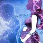 盘点国内已获批的“染色体非整倍体”检测试剂盒