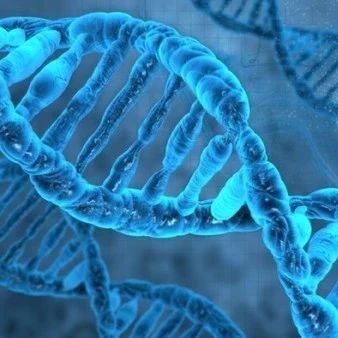 辉瑞看好！非病毒基因治疗新贵，完成6100万美元A轮融资丨医麦猛爆料