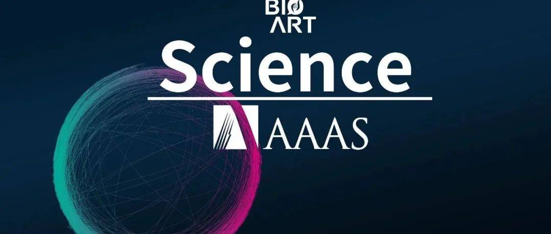 Science丨陈玲玲团队合作发现长非编码RNA对细胞核仁结构和RNA聚合酶I转录的重要调控机制