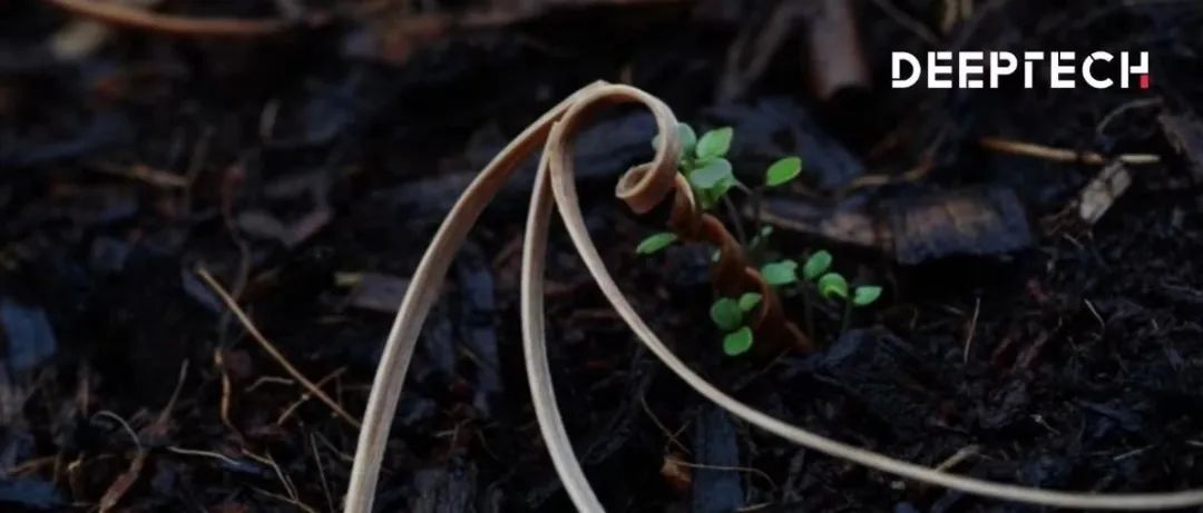 科学家研发新型自钻土种子载体E-seed，通过空气中的水分驱动，可传播种子、微生物、肥料和真菌等