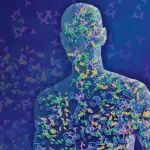 Cell最新发现人体内可能调节组织修复和炎症的内部通信网络