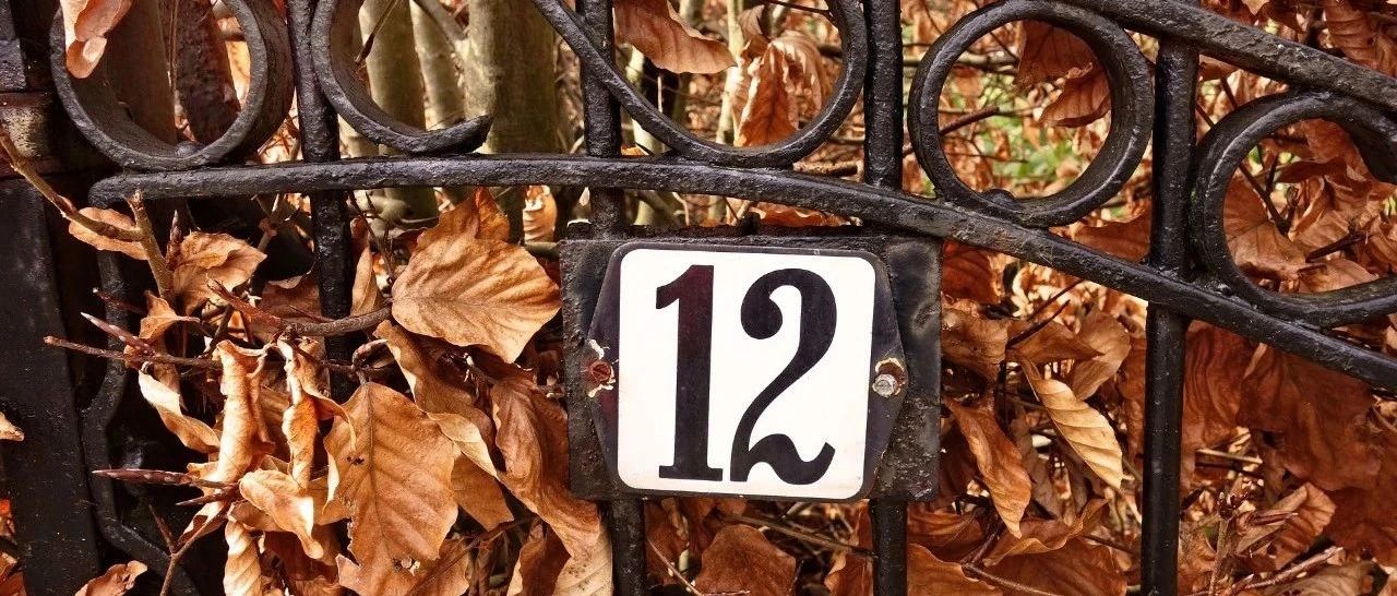 12月一致性评价：过评迎红利，注射剂满载而归…