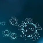 清华大学鲁白教授和豆扬博士发表系列文章报道新冠病毒药物研发成果