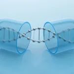 基因编辑技术治疗唐氏综合征的研究进展及其前景展望