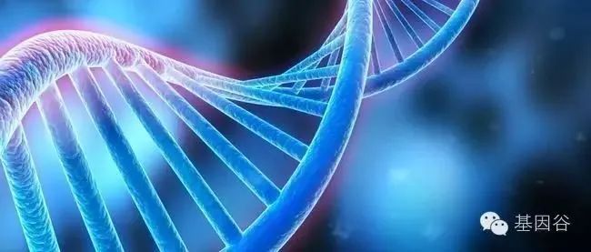 亿欧大健康产业集成创新榜单公布:2021中国基因科技企业TOP10