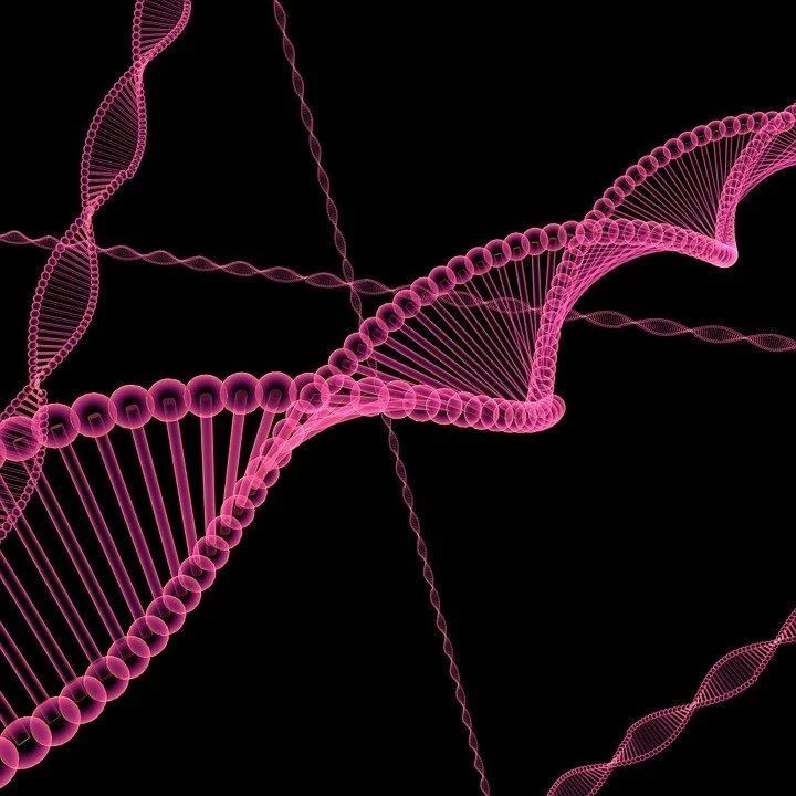 何川团队新成果！成功绘制出关键5hmC生物标志物的全基因组图谱