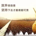 明天开始：10天时间系统学习新条例、注册及临床课程！