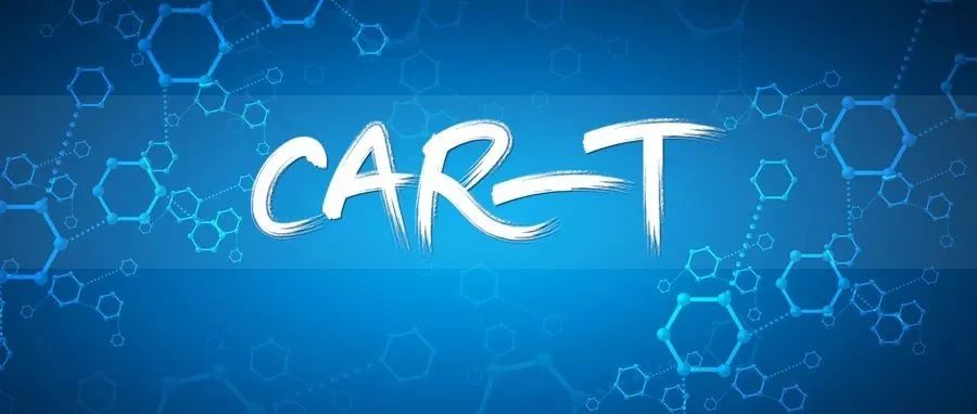 CAR-T疗法靶点多元化！传奇生物西达基奥仑赛获FDA优先审评，复星凯特、药明巨诺...