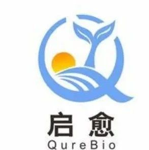 启愈生物:全球首个获批美国IND的Claudin18.2/PD-L1双特异性抗体药物