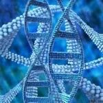 Commun Biol | 跨越20种癌症类型！基于基因表达谱精确预测泛癌肿瘤纯度的新方法——PUREE