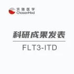 求臻医学助力合作伙伴开发FLT3-ITD检测框架,有效指导AML预后分层和靶向治疗,检测准确性达99%
