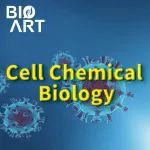 专家点评Nat Chem Biol丨杨靖/迟浩团队合作开发一种针对化学蛋白质组探针的评测工具