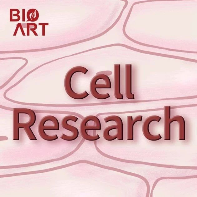 ​专家点评 | 田长麟/刘磊合作揭示C型GPCR钙敏感受体CaSR在L-Trp和Ca2+两种激动剂共同协作下的激活机制