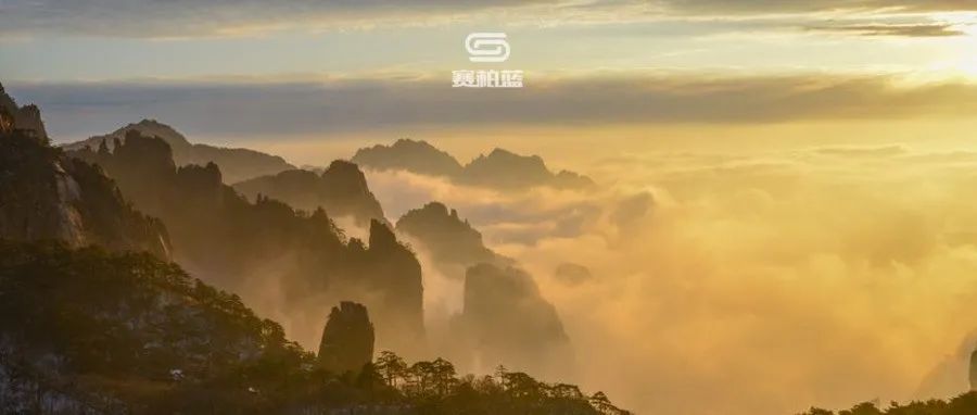 确认！阿斯利康390亿美元收购落定