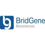 祝贺！针对“难以成药”靶点开发小分子药物，BridGene完成3850万美元B轮融资