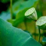 8部门联合发布：启动医疗器械大检查