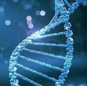 学而思 | NTRK基因融合和TRK抑制剂在非小细胞肺癌中的研究进展