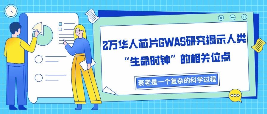 2万华人芯片GWAS研究揭示人类“生命时钟”的相关位点