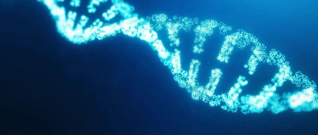 破解20年难题！《Nature》重磅：揭示调控细胞内基因转录的“红绿灯”机制！