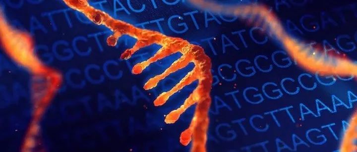 宾大最新研究结果:单次注射RNA药物,视力得到15个月的改善丨医麦黑科技