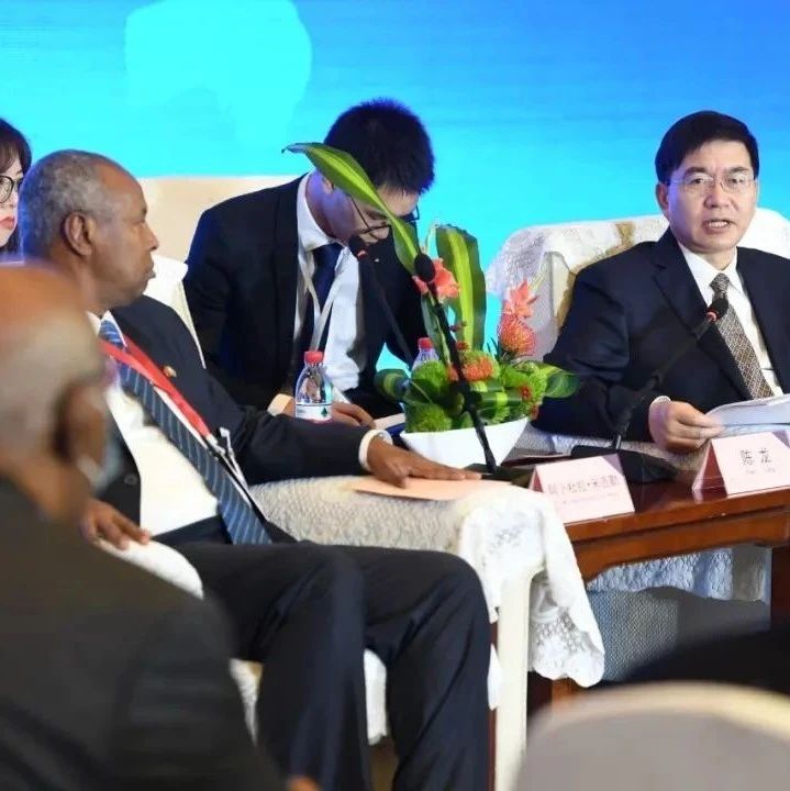 陈龙会见部分非洲国家驻华使节团 深化合作交流 实现互利共赢