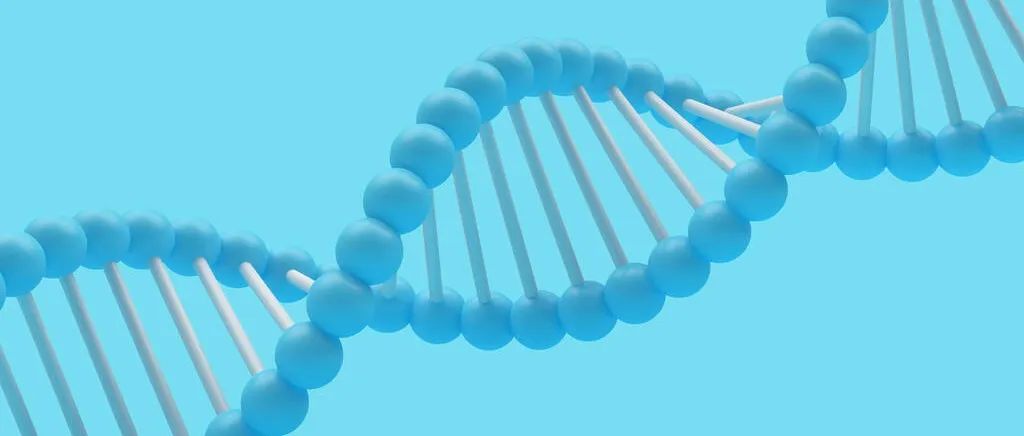 Nature子刊：CRISPR新技术可替换缺陷基因