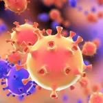 武大病毒学国家重点实验室首次揭示冠状病毒受体领域最新成果！