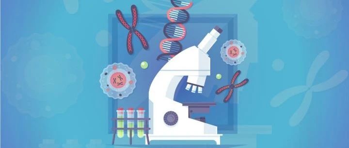 第30期资讯丨NCCN小细胞肺癌2021第一版指南发布、辉瑞皮下注射PD-1在中国获准开展治疗高危非肌层浸润性膀胱癌临床试验