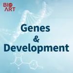 Gene & Dev两篇连发+封面故事 | 邵孟乐/闪波/张倩彬等揭示调控脂肪组织米脂化重要机制