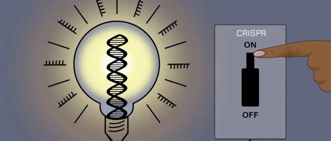 Cell发布突破性可逆CRISPR技术：不改变DNA序列，沉默绝大多数基因的简单新工具