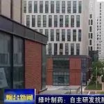 【烟台新闻】绿叶制药：自主研发抗肿瘤创新制剂临床达到预设终点